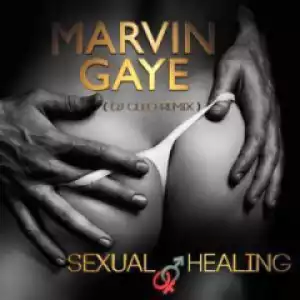 Marvin Gaye - Sexual Healing (Dj Cleo  Amapiano Remix)